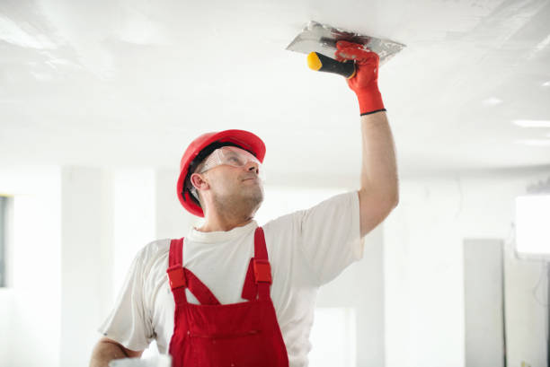 Best Ceiling Drywall Installation  in Arnold, CA